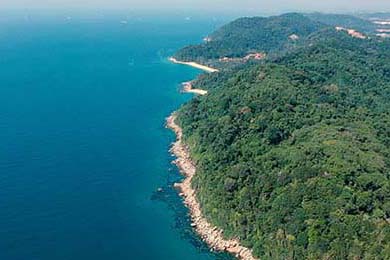 曼联正式宣布签约逆天前锋，转会市场火热，曼联引进前锋